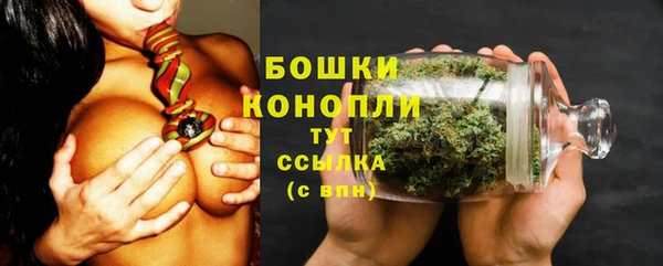 крисы Дмитриев