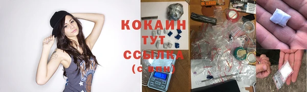 крисы Дмитриев