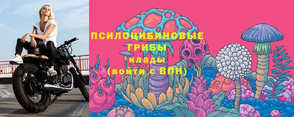 кристаллы Дмитров