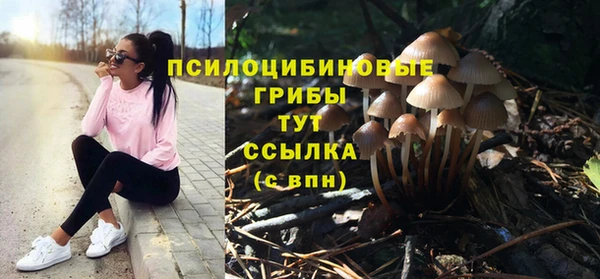 крисы Дмитриев